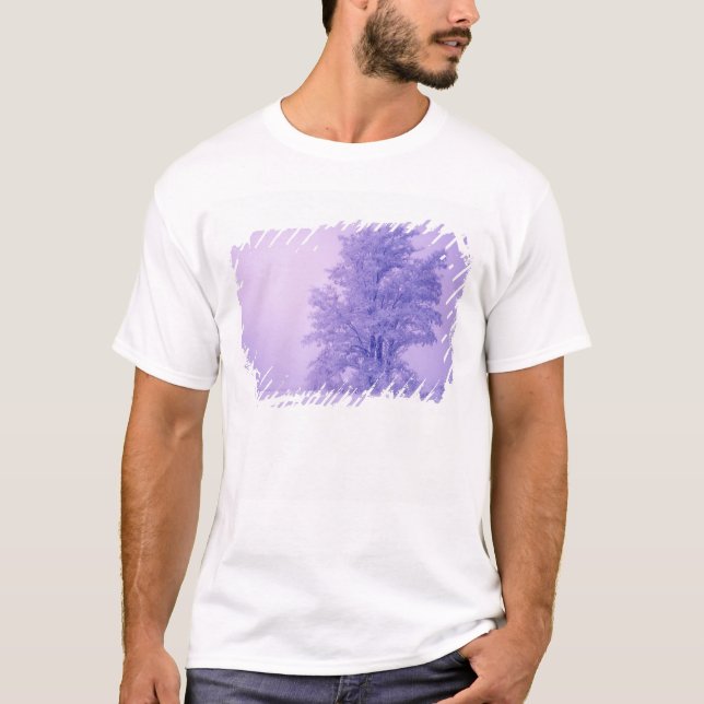 USA, Washington, Spokane County, Frosted T-Shirt (Front)