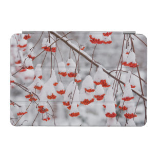 USA, Washington, Spokane County iPad Mini Cover