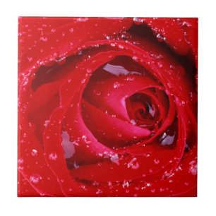 USA, Washington, Spokane County, Manito Park Tile