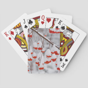 USA, Washington, Spokane County Poker Cards