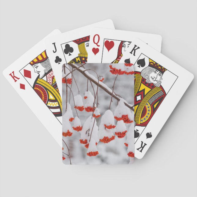 USA, Washington, Spokane County Poker Cards (Back)