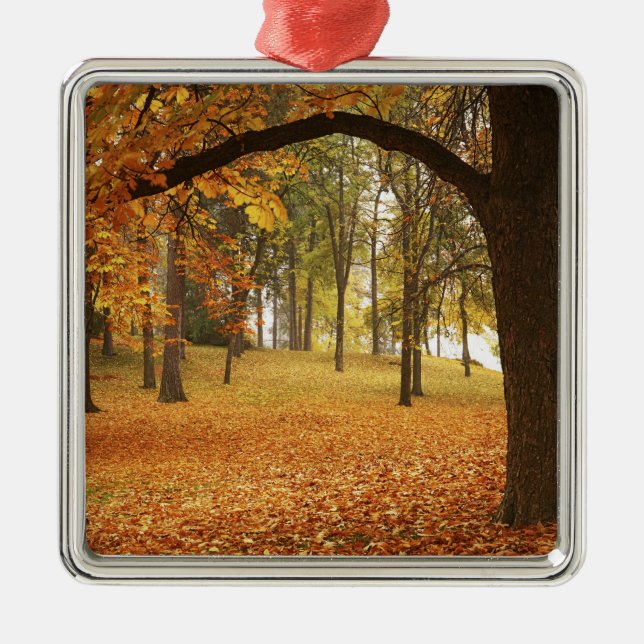 USA, Washington, Spokane, Manito Park, Autumn 2 Metal Ornament (Front)