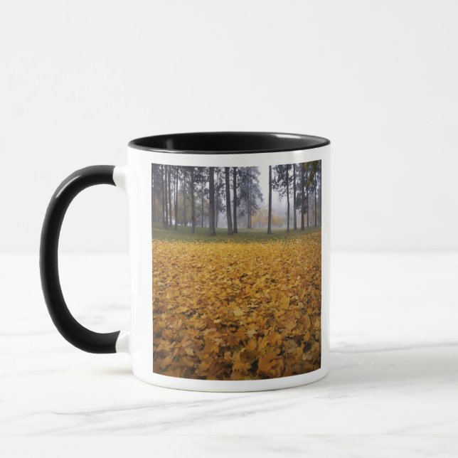 USA, Washington, Spokane, Manito Park, Autumn Mug (Left)
