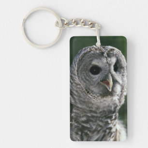 USA, Washington State. Barred Owl (Strix varia) Keychain