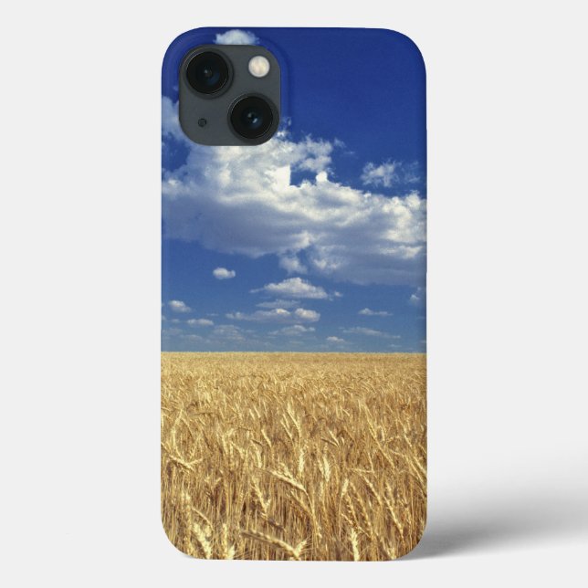 USA, Washington State, Colfax. Ripe wheat Case-Mate iPhone Case (Back)