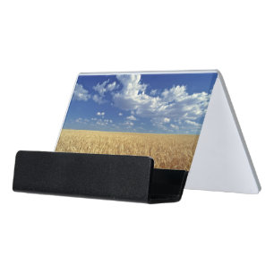 USA, Washington State, Colfax. Ripe wheat Desk Business Card Holder