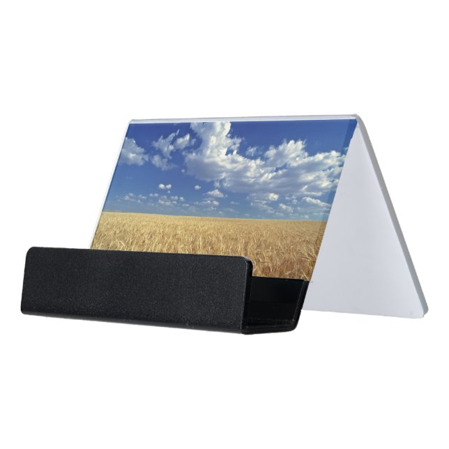 USA, Washington State, Colfax. Ripe wheat Desk Business Card Holder (Angled Front)