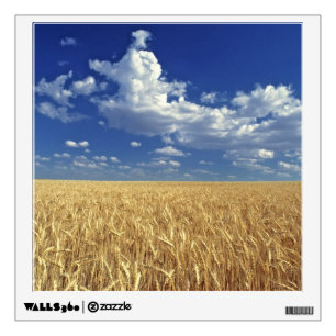 USA, Washington State, Colfax. Ripe wheat Wall Sticker