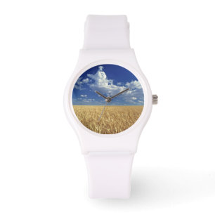 USA, Washington State, Colfax. Ripe wheat Watch