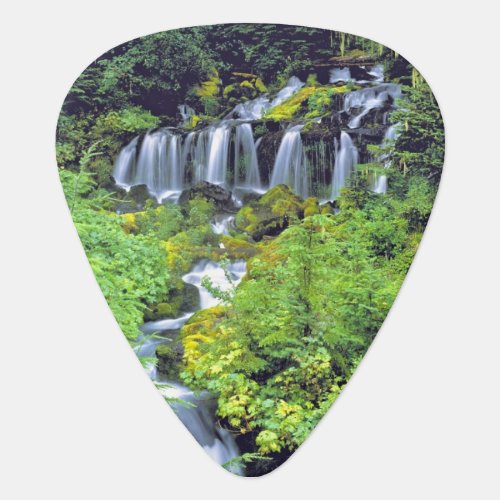 USA Washington State Mt Adams Wilderness Twin Guitar Pick