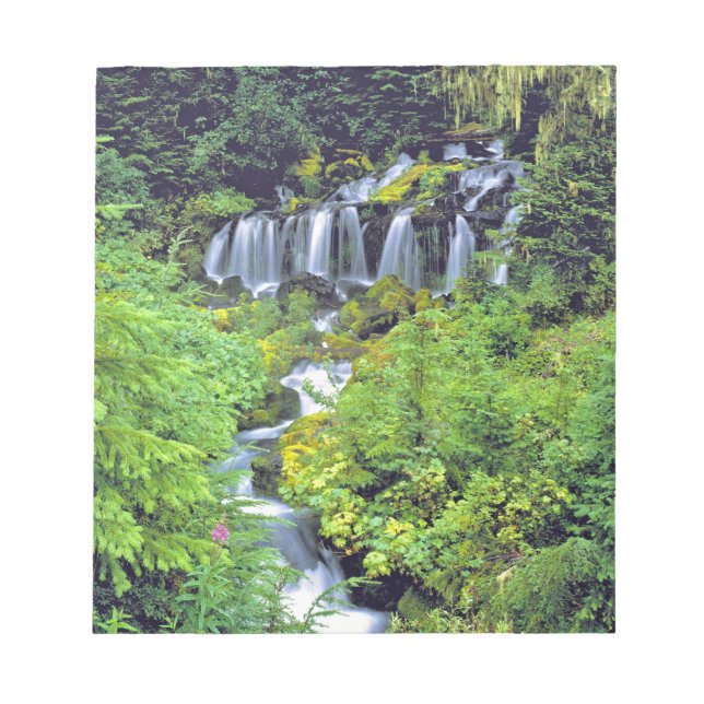 USA, Washington State, Mt Adams Wilderness. Twin Notepad (Front)