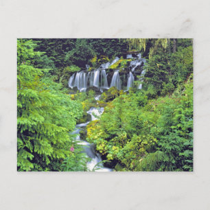 USA, Washington State, Mt Adams Wilderness. Twin Postcard