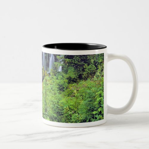 USA Washington State Mt Adams Wilderness Twin Two_Tone Coffee Mug