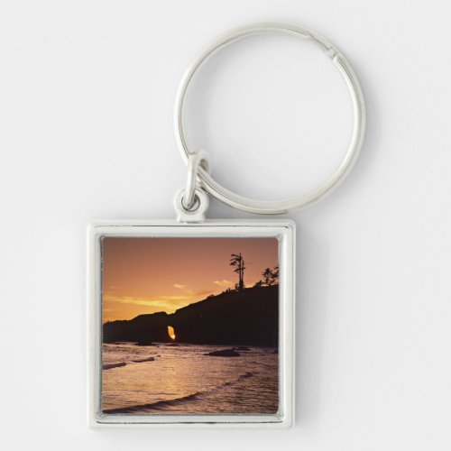 USA Washington State Olympic National Park 2 Keychain