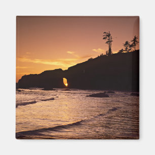 USA, Washington State, Olympic National Park. 2 Magnet