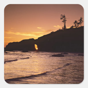 USA, Washington State, Olympic National Park. 2 Square Sticker