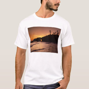 USA, Washington State, Olympic National Park. 2 T-Shirt