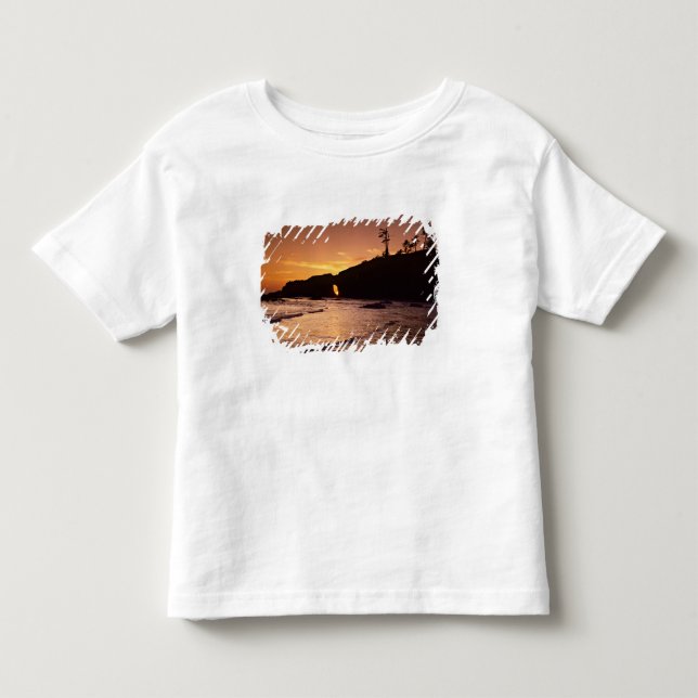 USA, Washington State, Olympic National Park. 2 Toddler T-shirt (Front)