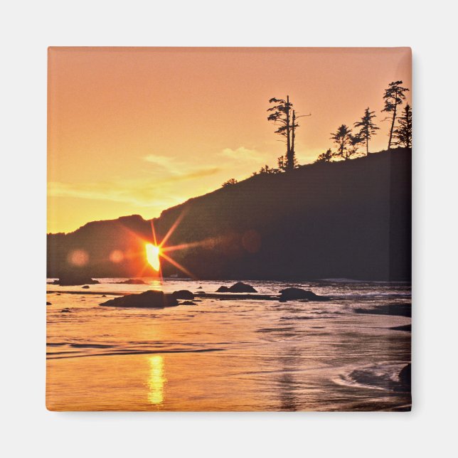 USA, Washington State, Olympic National Park. 3 Magnet (Front)