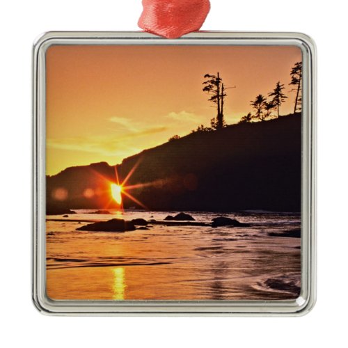 USA, Washington State, Olympic National Park. 3 Metal Ornament