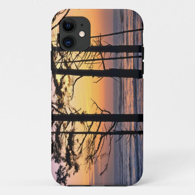 USA, Washington State, Olympic NP. Delicate Case-Mate iPhone Case (Back)