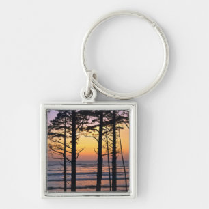 USA, Washington State, Olympic NP. Delicate Keychain