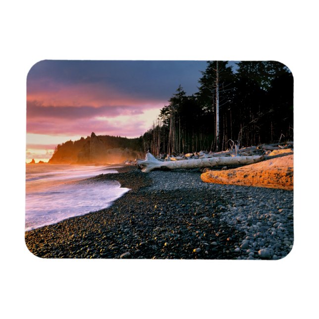 USA, Washington State, Olympic NP. Waves lap the Magnet (Horizontal)