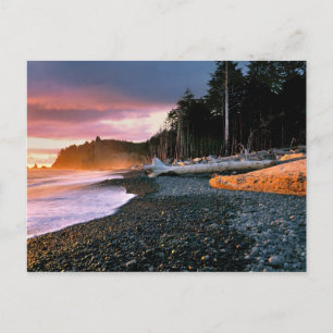 USA, Washington State, Olympic NP. Waves lap the Postcard