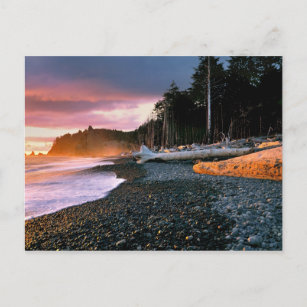 USA, Washington State, Olympic NP. Waves lap the Postcard