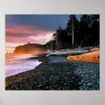 USA, Washington State, Olympic NP. Waves lap the Poster