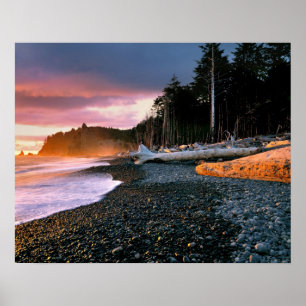 USA, Washington State, Olympic NP. Waves lap the Poster