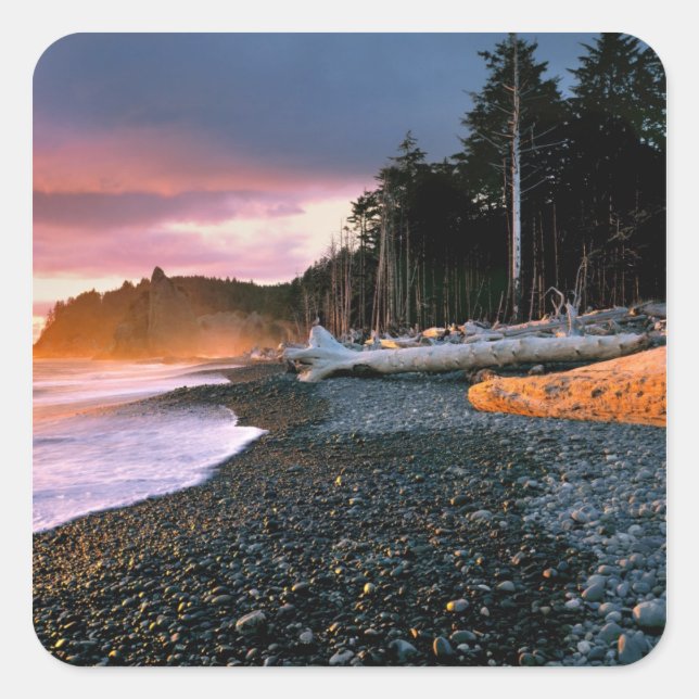 USA, Washington State, Olympic NP. Waves lap the Square Sticker (Front)