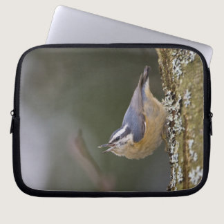 USA, Washington State, Red-brested Nuthatch, Laptop Sleeve