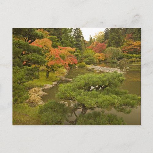 USA Washington State Seattle Japanese Postcard