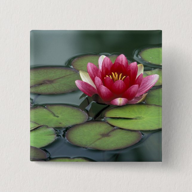 USA, Washington State, Seattle. Water lily and Pinback Button (Front)