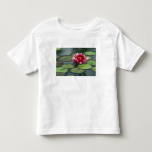 USA, Washington State, Seattle. Water lily and Toddler T-shirt
