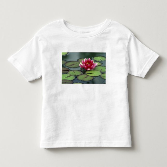 USA, Washington State, Seattle. Water lily and Toddler T-shirt (Front)