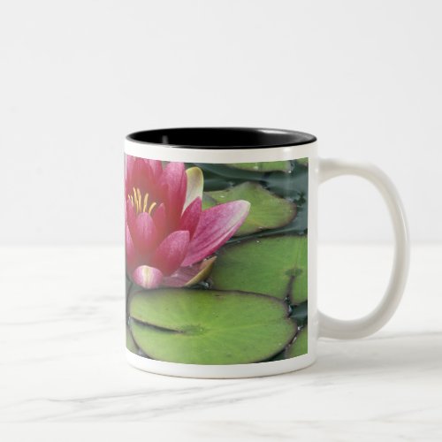 USA Washington State Seattle Water lily and Two_Tone Coffee Mug