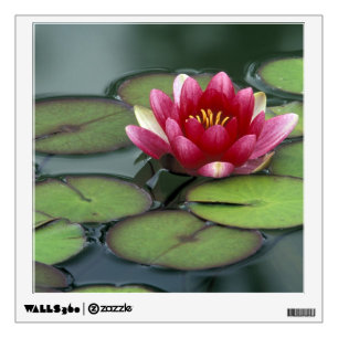 USA, Washington State, Seattle. Water lily and Wall Decal
