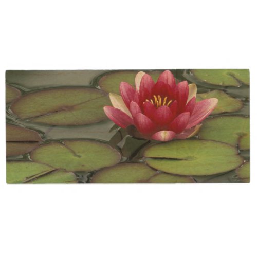 USA Washington State Seattle Water lily and Wood Flash Drive