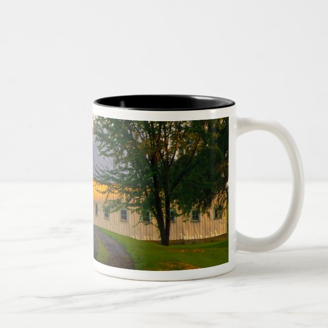 USA, Washington, The Palouse Two-Tone Coffee Mug (Right)