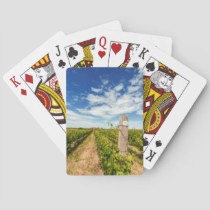 USA, Washington, Walla Walla. Cabernet Sauvignon Poker Cards