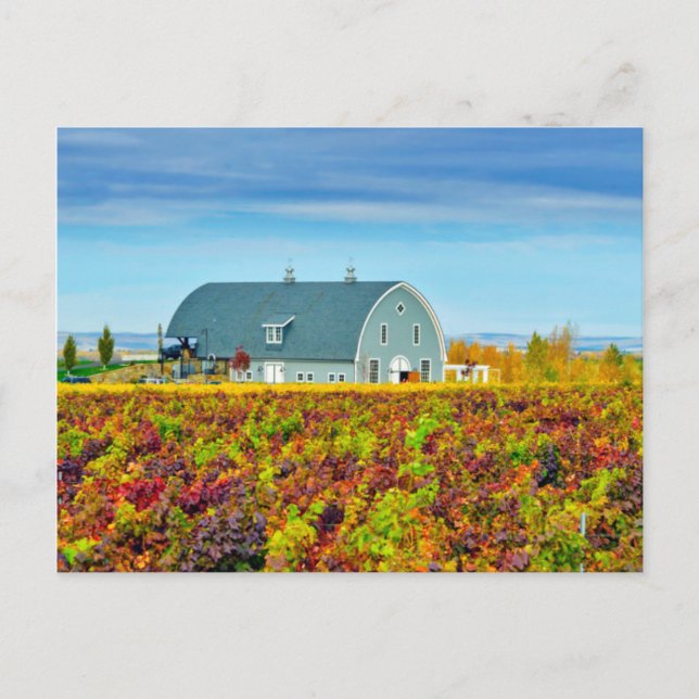 USA, Washington, Walla Walla. Garrison Creek Postcard (Front)