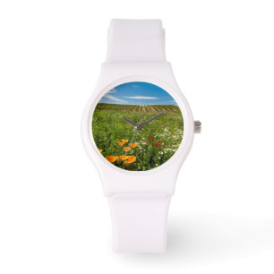USA, Washington, Walla Walla. Wildflowers Watch