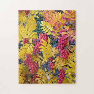 USA, Washington, Western Mountain Ash, Okanogan Jigsaw Puzzle