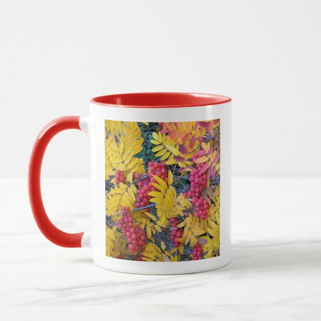 USA, Washington, Western Mountain Ash, Okanogan Mug (Left)