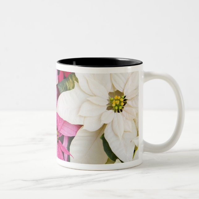 USA, Washington, Woodinville, Molbak's Nursery, 2 Two-Tone Coffee Mug (Right)