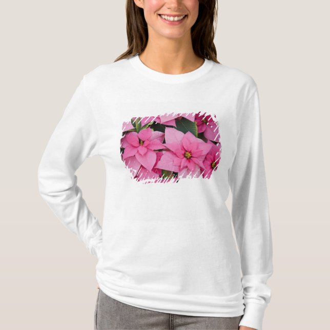 USA, Washington, Woodinville, Molbak's Nursery, 3 T-Shirt (Front)