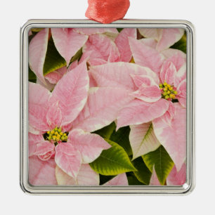 USA, Washington, Woodinville, Molbak's Nursery, 4 Metal Ornament