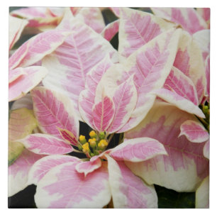 USA, Washington, Woodinville, Molbak's Nursery, Tile